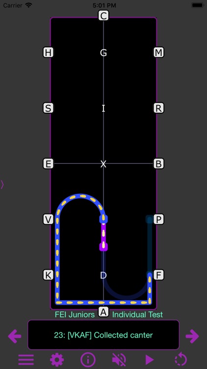 TestPro: FEI Dressage Tests screenshot-6