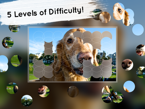 Venn Dogs: Overlapping Jigsaw Puzzles Games Venn Dogs