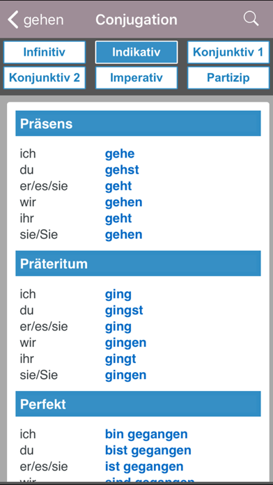 English-German Larousse dictionary Screenshot 3