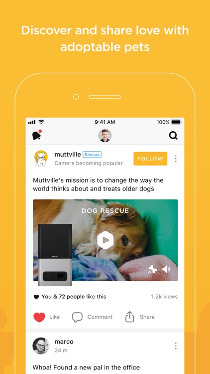 Petcube screenshot-3