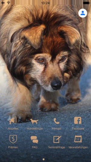 Hundeschule Schweiz(圖1)-速報App