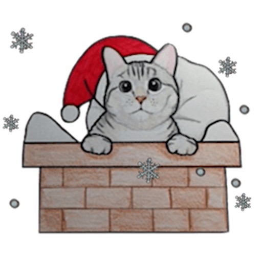 Cute Christmas Cat Sticker icon