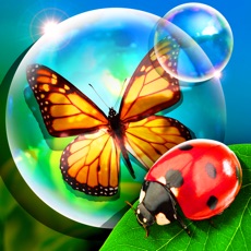 Activities of Bugs and Bubbles