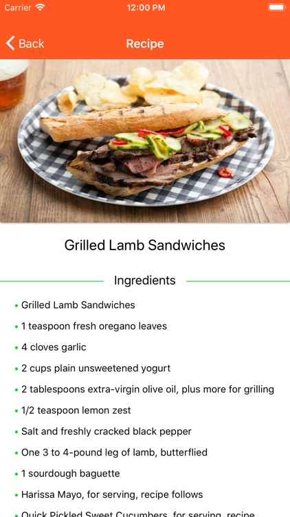 BBQ Barbecue Recipes