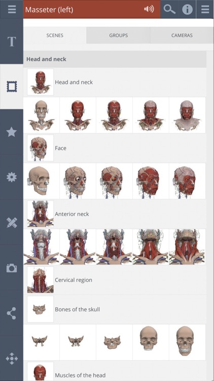 Head: 3D Real-time