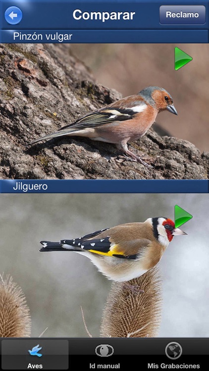 Cantos de Aves Id, guía para identificar pájaros screenshot-3