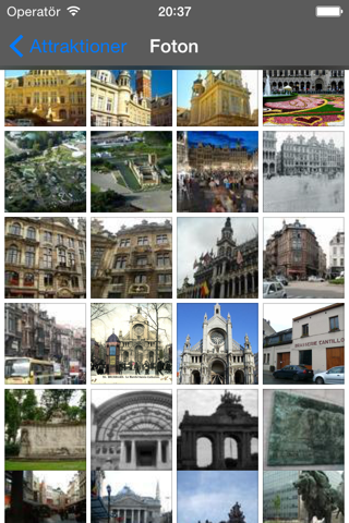 Brussels Travel Guide Offline screenshot 2