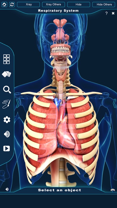 My Respiratory System Anatomy screenshot 2