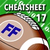 Fantasy Football Cheatsheet 17