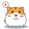 Fat Hamster Animated Stickers