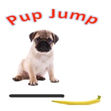 Activities of Pup Jump