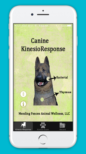 Canine KinesioResponse(圖1)-速報App