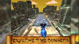 Game screenshot Dragon Run 3D apk