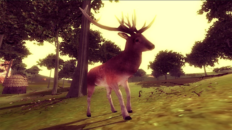 Animal Sniper Hunter screenshot-3