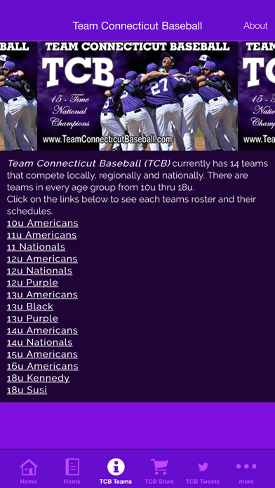 Team Connecticut Baseball screenshot 2