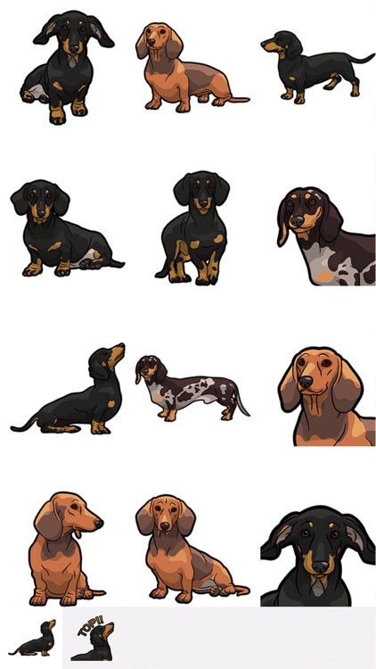 DachsMoji - Dachshund Emoji & Sticker