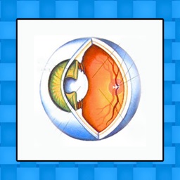 Ocular Eye