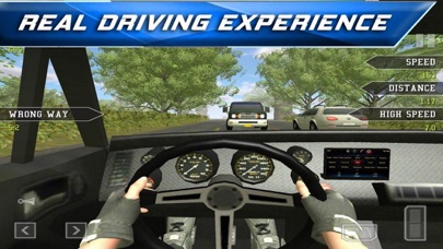Car Traffic 3D screenshot 3