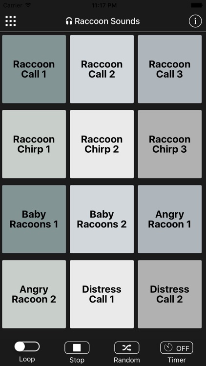 Raccoon Sounds