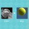 2 Pics 1 Word is 100% free picture and word game