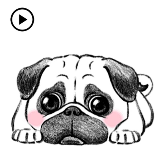 Animated Cute Pug Dog Sticker