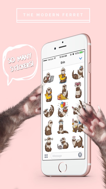 Ferret Stickers