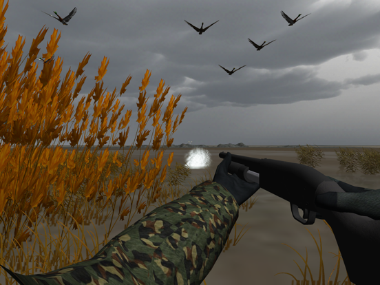 Duck Hunter Pro 3D Screenshots