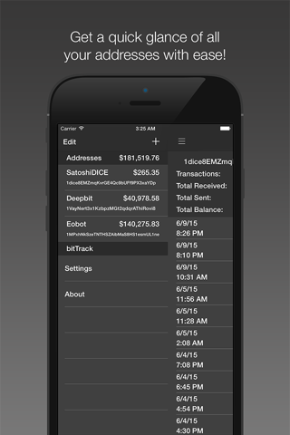 bitTrack screenshot 4