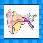 Ear Med