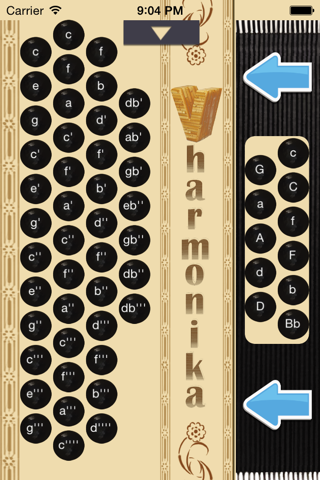 Vharmonika - náhled