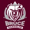The Be Bruce app connects students, parents, teachers and administrators to important resources and tools that keep everyone more informed and involved