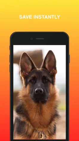 Game screenshot German Shepherd Wallpaper hack