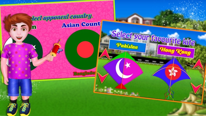 朴 印度 风筝 飞行