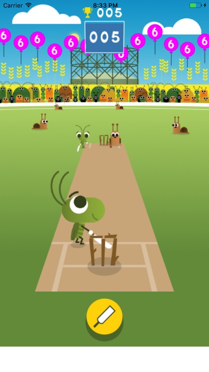 Cricket Play