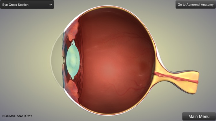 Eye Anatomy screenshot-0