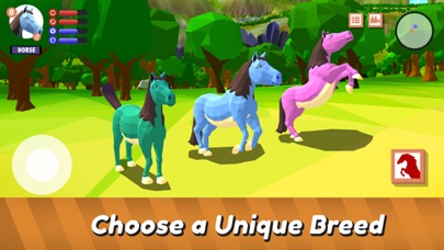 World of Magic Pony screenshot 2
