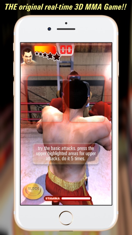 Iron Fist Boxing Lite