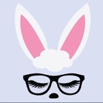Pic Stickers  Filters Camera