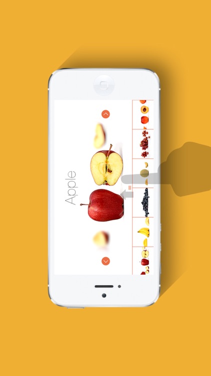 Fruit - HD Infant Photo Book