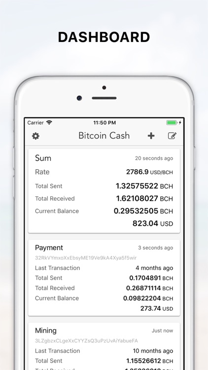 Bitcoin Cash address viewer