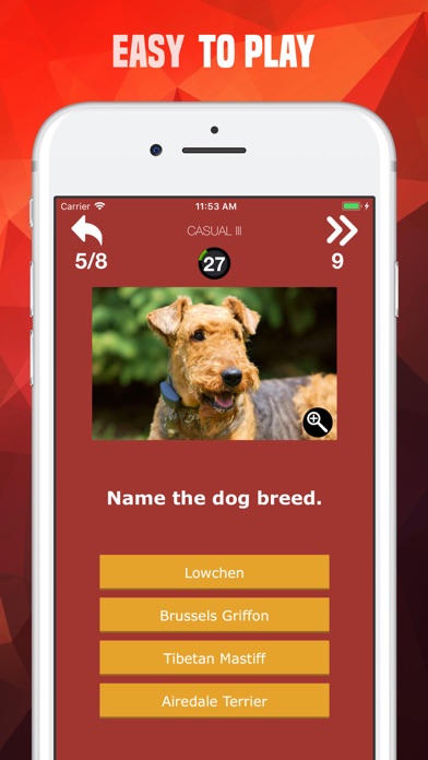Dogs Trivia - Canis Breed Quiz screenshot 4