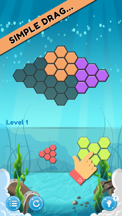 Block Merger - One Hexa Puzzle screenshot 2