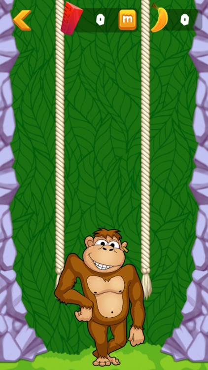 Monkey Rope Swing