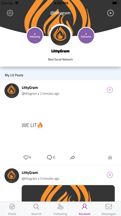 LittyGram screenshot 3