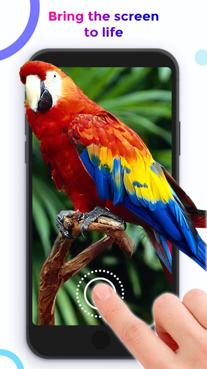 Live Wallpaper ++