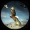 Jungle Birds Hunter Pro 2017 game is very thrilling and easy to understand the features of games