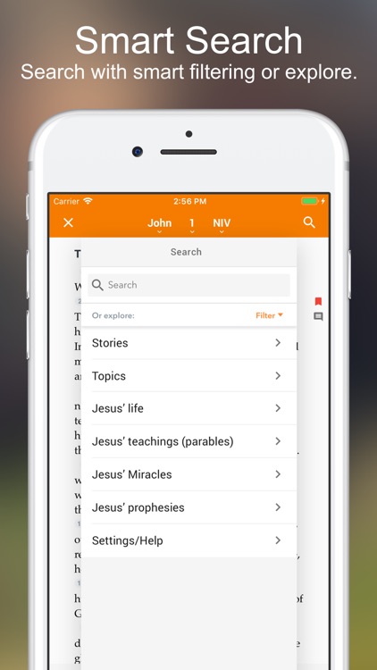 Amplified Bible