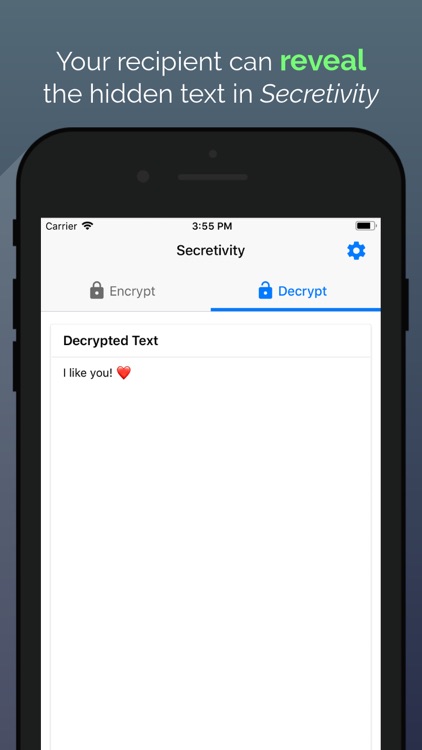 Secretivity – Lock & Hide Text screenshot-3