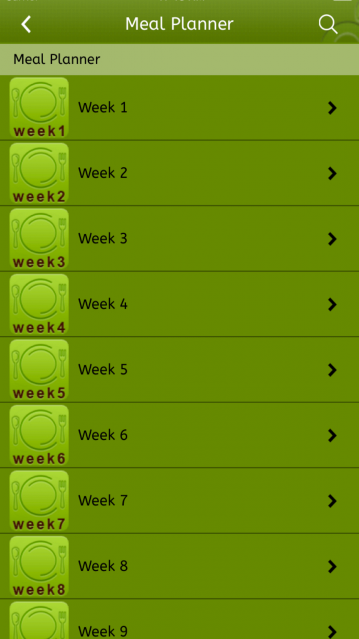 Slimming Diet meal planner