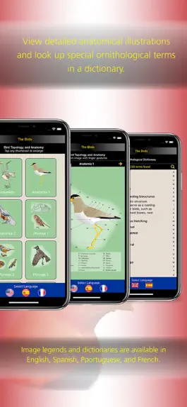 Game screenshot The Birds of Peru hack